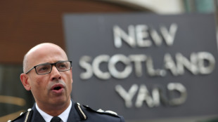 Londons früherer Antiterror-Chef bestätigt ernstzunehmende Drohungen gegen Meghan 