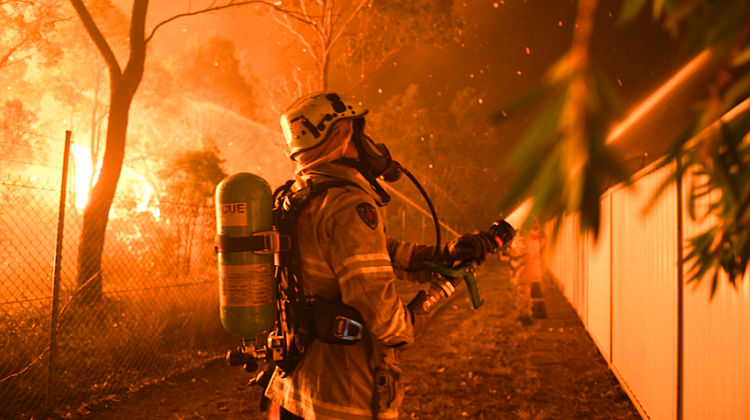 USA: Waldbrand in Kalifornien zerst