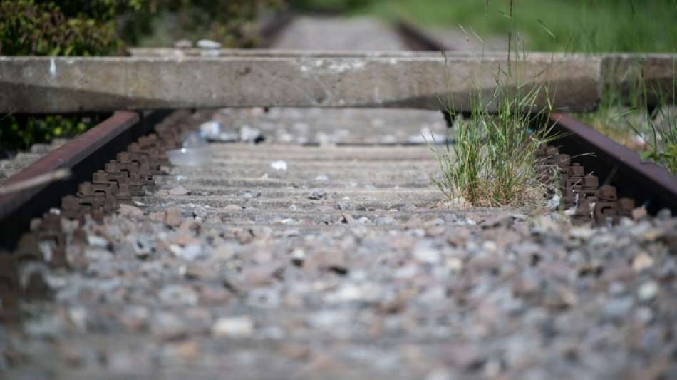 Knapp 6500 Kilometer Bahnstrecke in Deutschland seit 1990 stillgelegt