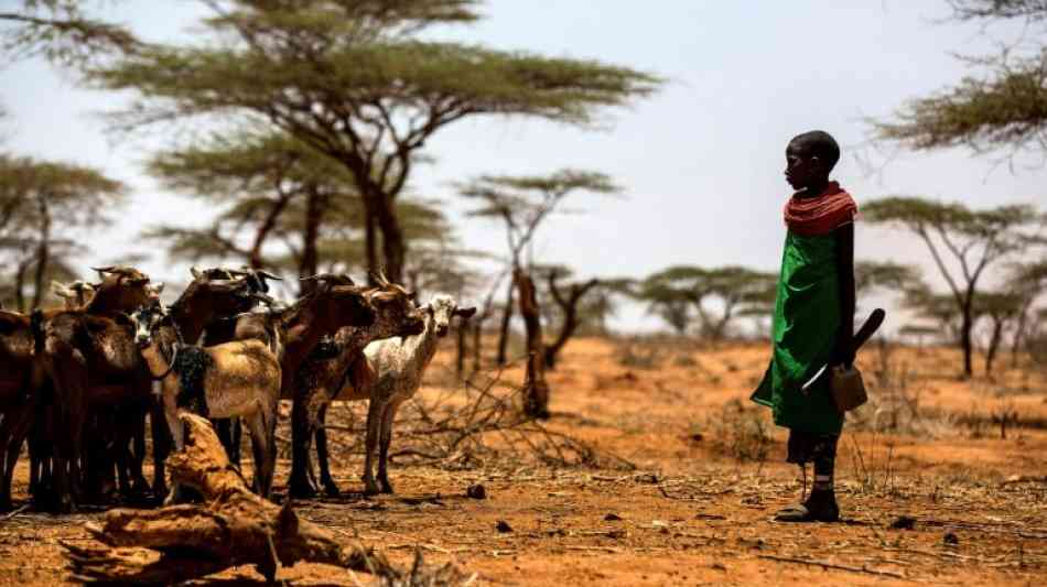 UN-Umweltprogramm fordert Verdreifachung der weltweiten Klimaschutzbemühungen