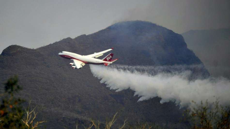 Feuer vernichten fast eine Million Hektar Urwald in Bolivien