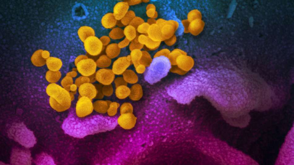 Neue Corona-Variante "infektiöser" als erstes Virus