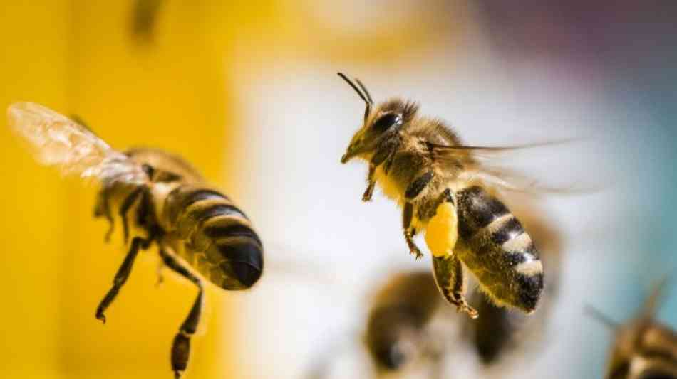 Bayer Konzern legt Berufung gegen Teilverbote von Neonikotinoiden ein