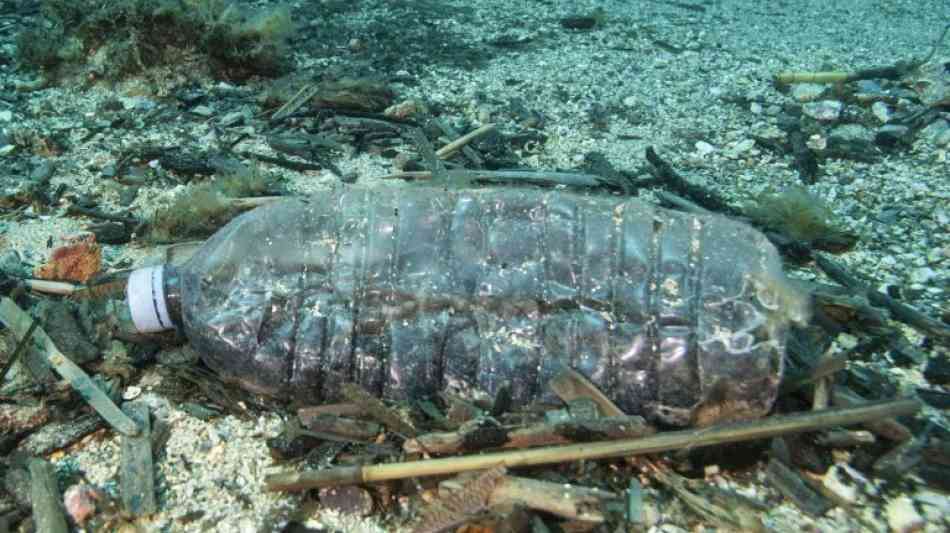 Mikroplastik gelangt auch über Mücken in die Nahrungskette 