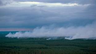 Landrat: Waldbrand in Mecklenburg-Vorpommern unter Kontrolle