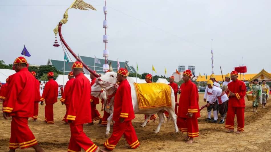 Heilige Ochsen verheißen reiche Ernte in Thailand