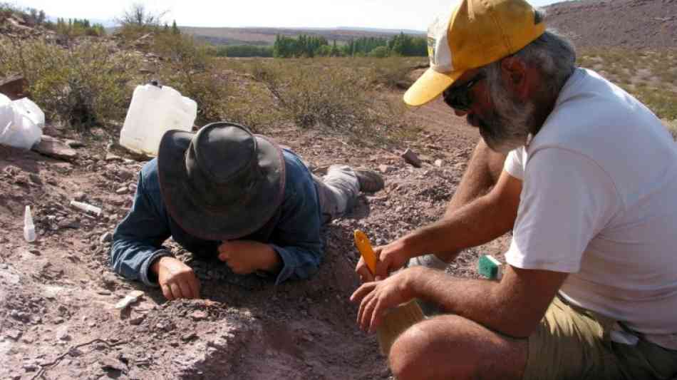 Paläontologen entdecken eine neue Dinosaurier-Art in Argentinien 