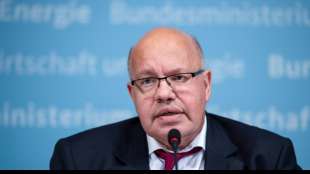 Altmaier konkretisiert Pläne für Bürger-Stiftung für mehr Klimaschutz