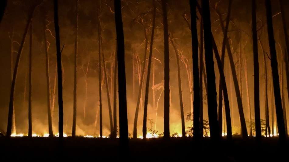 Bericht: Zahl der Waldbrände in Deutschland hat sich 2018 mehr als vervierfacht