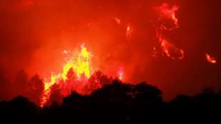 Mehr als 500 Feuerwehrleute kämpfen gegen Waldbrand in Südfrankreich