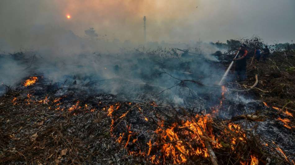 Waldbrände hüllen weite Regionen in Südostasien in dichten Rauch