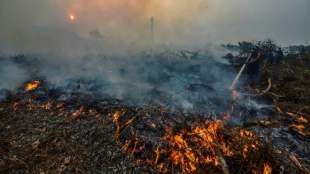 Waldbrände hüllen weite Regionen in Südostasien in dichten Rauch