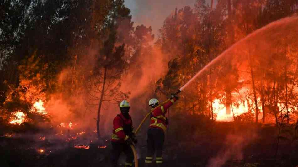 Zivilschutz: Mindestens 27 Tote bei Waldbr