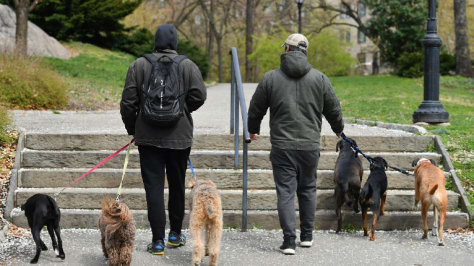 Zehntausende Hundehalter protestieren gegen strenge Ausgangssperre in Serbien