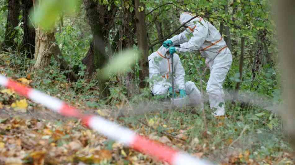 Behörden ermitteln nach Dioxinfund in Hamburger Naturschutzgebiet