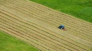 Klimaschutz und Artenvielfalt wichtigste Themen beim diesjährigen Bauerntag