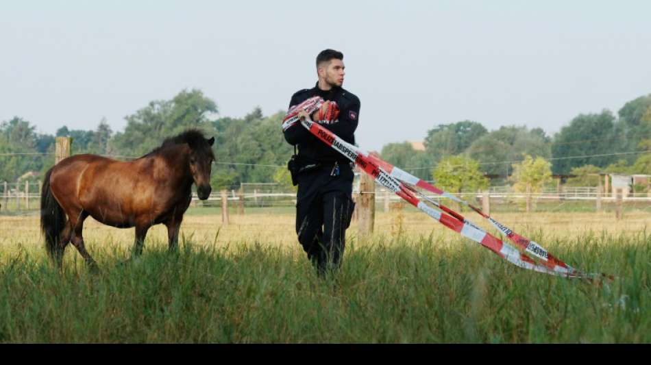 Polizisten in Hannover treiben 40 entlaufene Pferde mit Streifenwagen zusammen