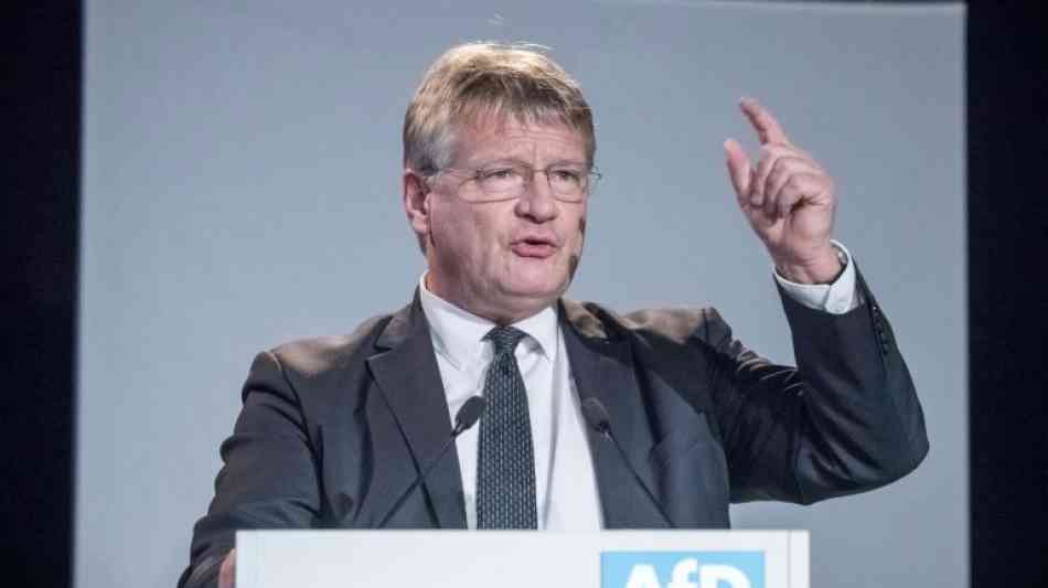 Meuthen zum AfD-Spitzenkandidaten für die Europawahl gewählt