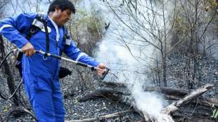 Boliviens Präsident verläuft sich bei Löscheinsatz im Urwald