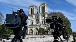 Frankreich: Dekan wirbt für ein Notre-Dame aus Holz