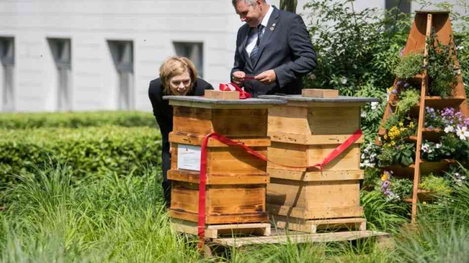 Deutschland - Nabu: Jede dritte Wildbienenart gilt als gef