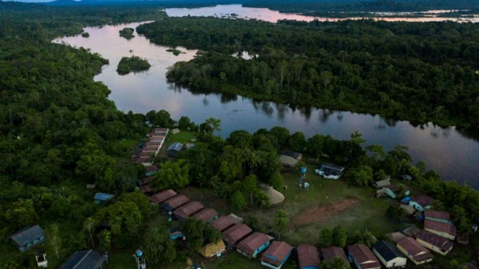 19 Festnahmen bei Großeinsatz gegen illegale Abholzung in Brasilien