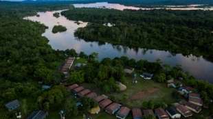 19 Festnahmen bei Großeinsatz gegen illegale Abholzung in Brasilien