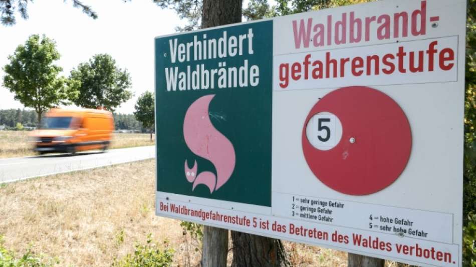 FDP-Politiker fordert wegen Brandgefahr generelles Waldverbot