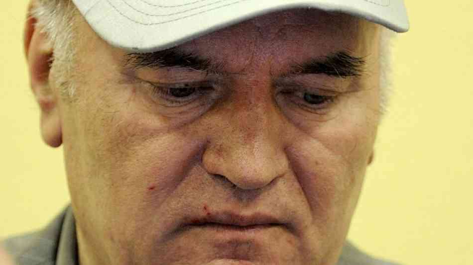 UN-Tribunal will Urteil gegen Ratko Mladic am 22. November