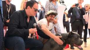 Pitbull aus Tarantino-Film in Cannes als bester Filmhund geehrt 