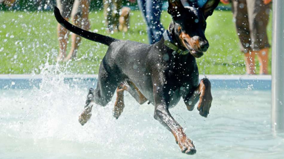 Hund beißt zweijährigen Jungen in Duisburger Park ins Gesicht