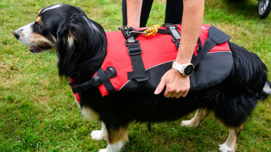 Dreijährige auf Campingplatz in Baden-Württemberg von Hund gebissen und verletzt