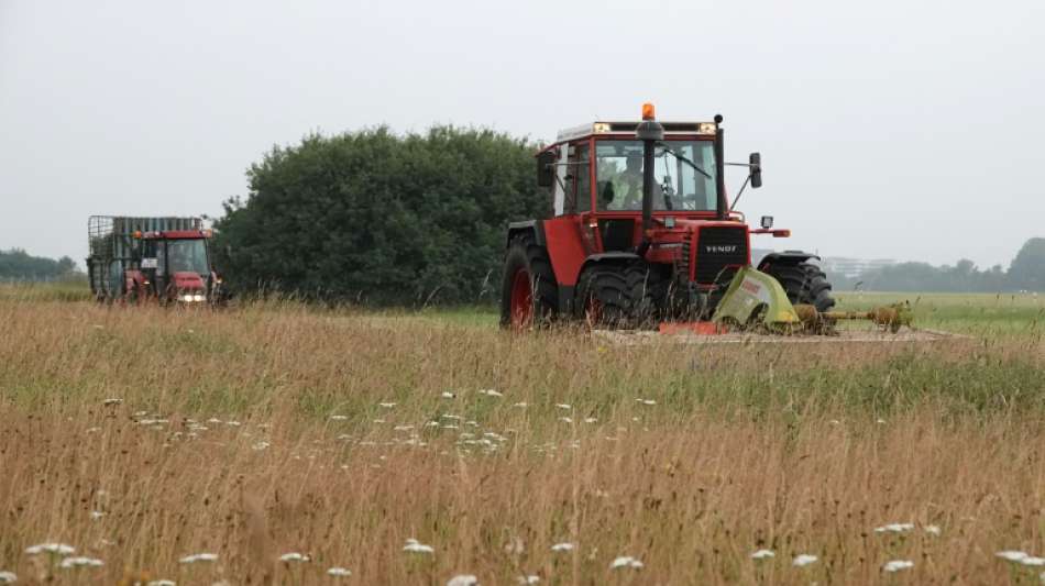 Klinge aus Mähmaschine schlägt in Schleswig-Holstein in fahrenden Linienbus ein 