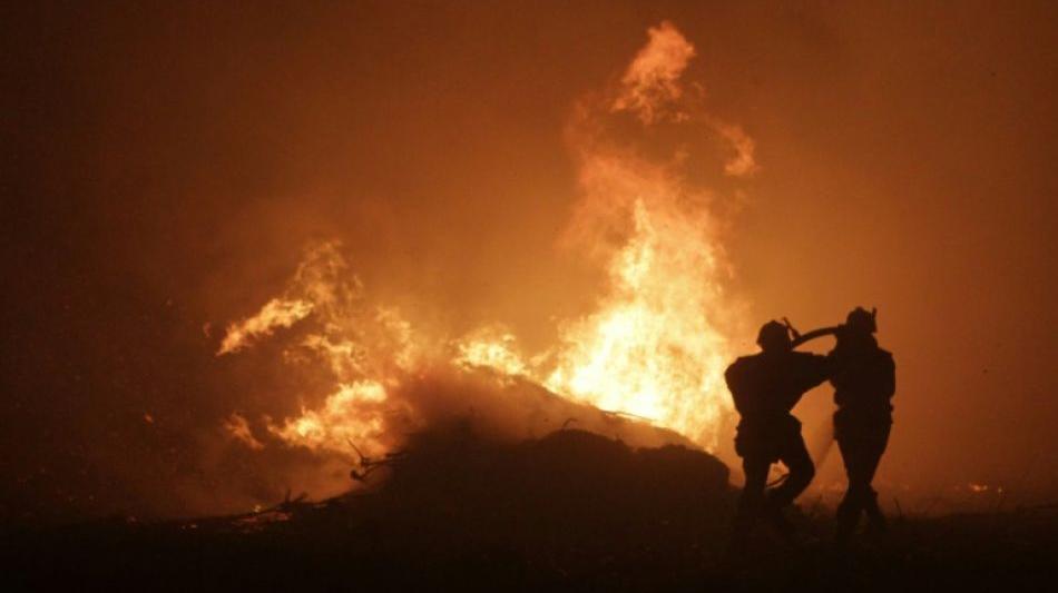 Frankreich: Zwei Waldbrände wüten verheerend auf Korsika 