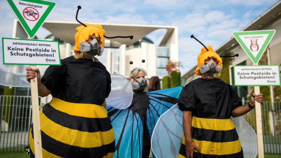 Bundesregierung beschließt Aktionsprogramm für Insektenschutz