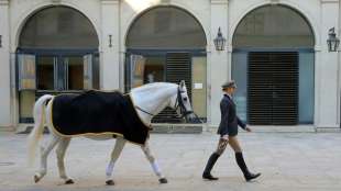 Österreich und Slowenien wollen Lipizzaner als Weltkulturerbe anerkennen lassen