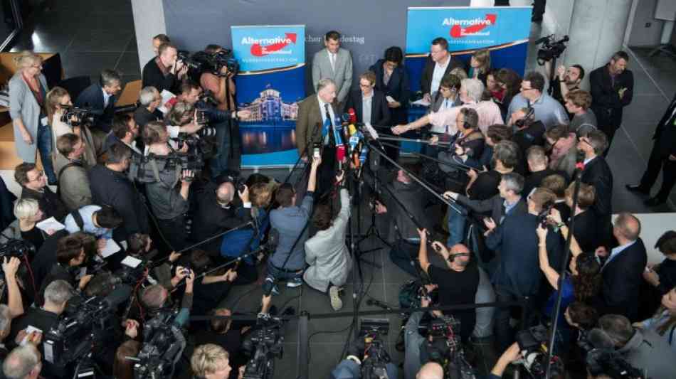 AfD-Bundestagsfraktion bis auf Petry vollständig