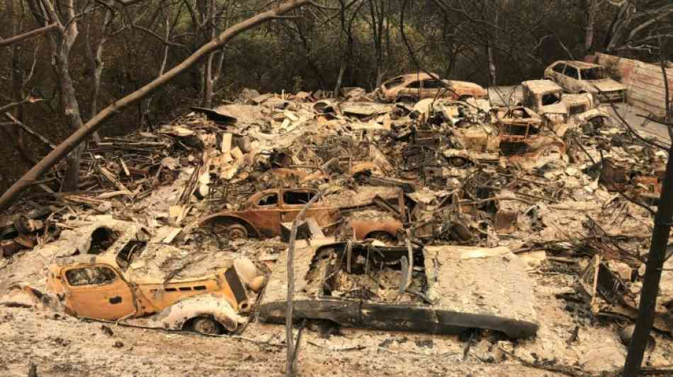 USA - Sieben Tote durch katastrophale Waldbr