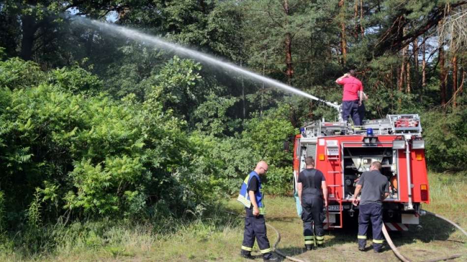 Einsatzkräfte halten Waldbrände bei anhaltender Hitzewelle unter Kontrolle 