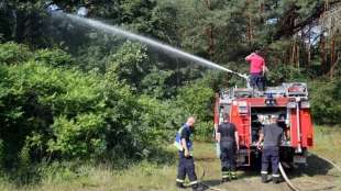 Einsatzkräfte halten Waldbrände bei anhaltender Hitzewelle unter Kontrolle 