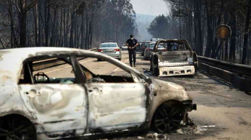 Anklagen wegen fahrlässiger Tötung nach verheerendem Waldbrand in Portugal