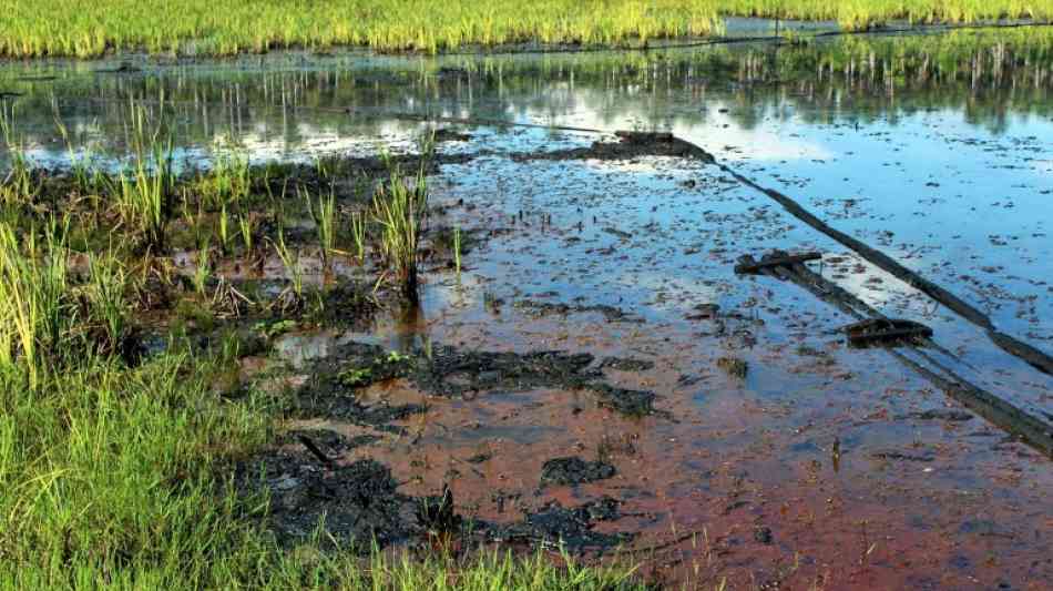 Grundwasser im Amazonasbecken weist hohe Konzentrationen von Arsen auf