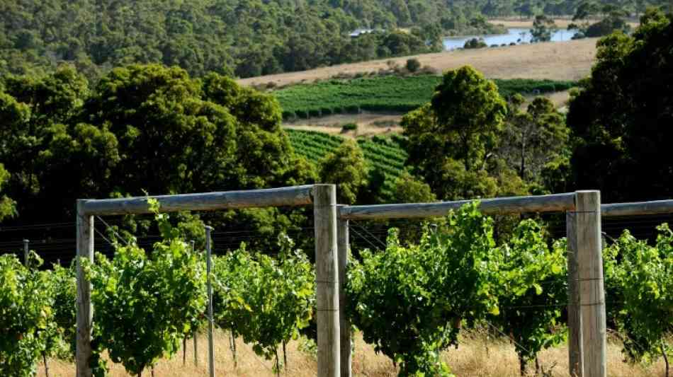 Australien: Sieben Tote auf Farm in australischer Kleinstadt entdeckt