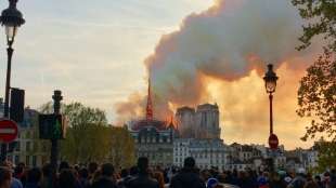 Das Bienen-Wunder von Notre-Dame