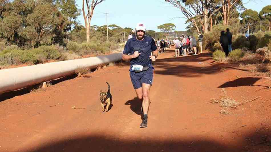 Streunender Hund gewinnt Medaille bei Halbmarathon in Australien