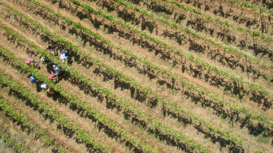 Regierung prüft Anerkennung von Parkinson als Berufskrankheit bei Landwirten