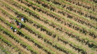 Regierung prüft Anerkennung von Parkinson als Berufskrankheit bei Landwirten