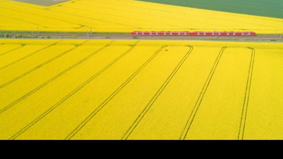 Bahn will Deutschland beim Klimaschutz "entscheidend voranbringen"