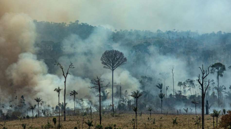 Hunderte neue Feuer in Brasilien