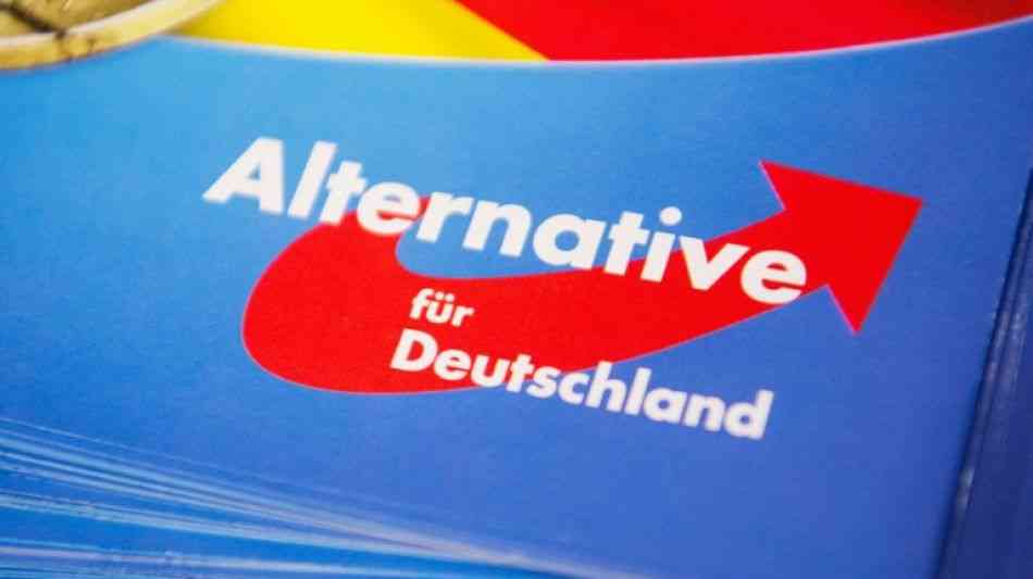 FDP und Grüne kritisieren AfD nach Bekanntwerden neuer Großspende